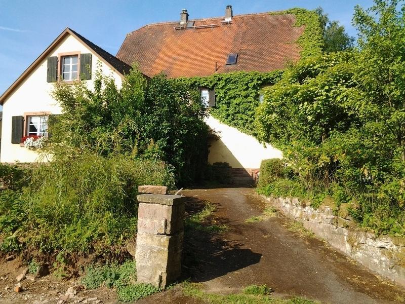 Gastehaus Zum Alten Schulhaus Hotel Miltenberg Værelse billede