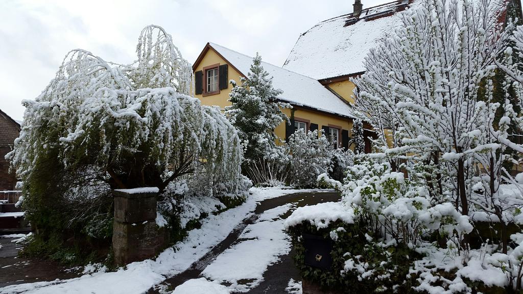 Gastehaus Zum Alten Schulhaus Hotel Miltenberg Eksteriør billede